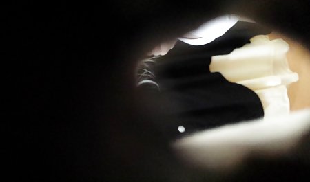 pantyhose bokep animal sek cewek seksi Euro