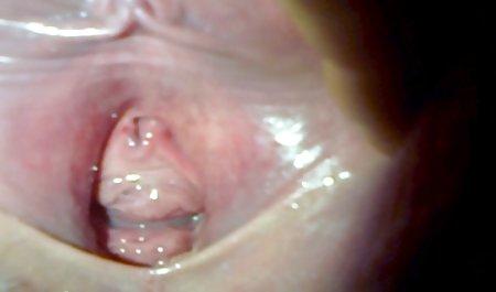 Mengambil keluar titit besar, sehingga saya bisa melayani dia Joi video sex tante bahenol